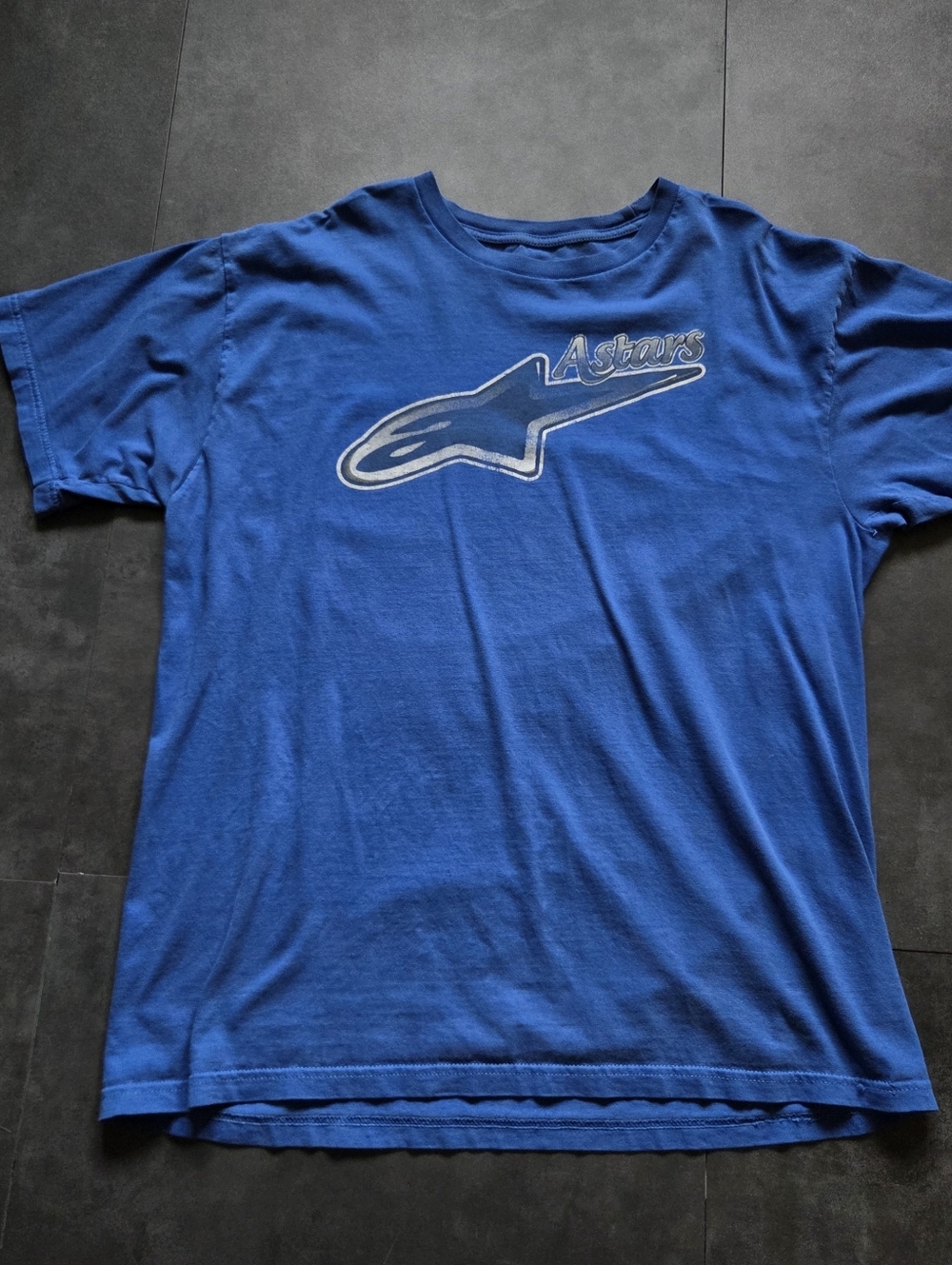 Vintage Y2k Alpinestars T